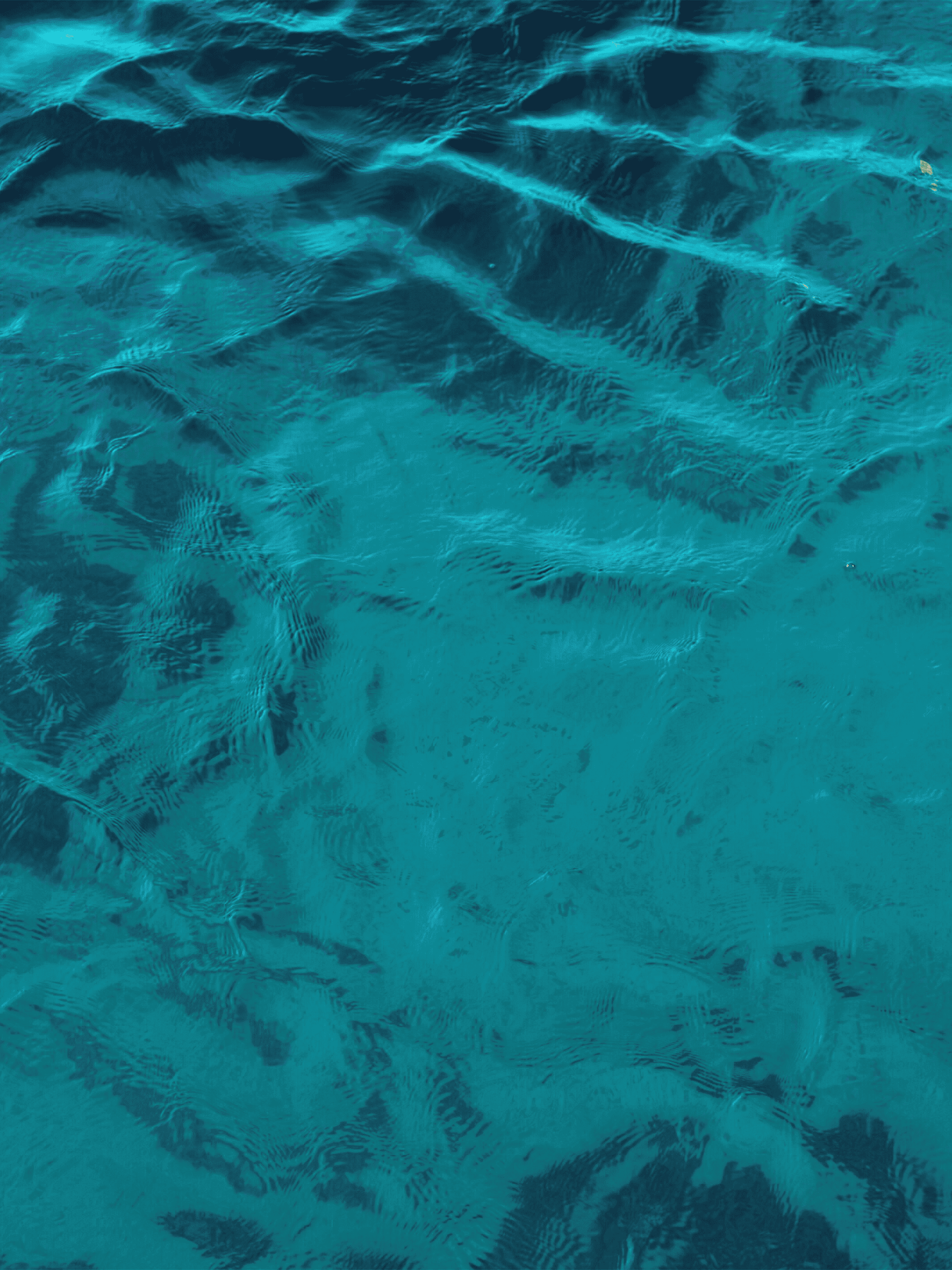 Diving into the Depths of Machine Learning Deep Learning vs Shallow